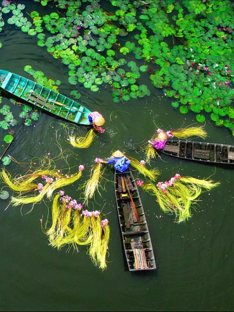 Làng nổi Tân Lập