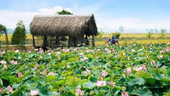 Sôi động Lễ hội Văn hóa Sông nước Cần Thơ năm 2025: Tôn vinh bản sắc miền Tây, thúc đẩy du lịch đường thủy phát triển bền vững