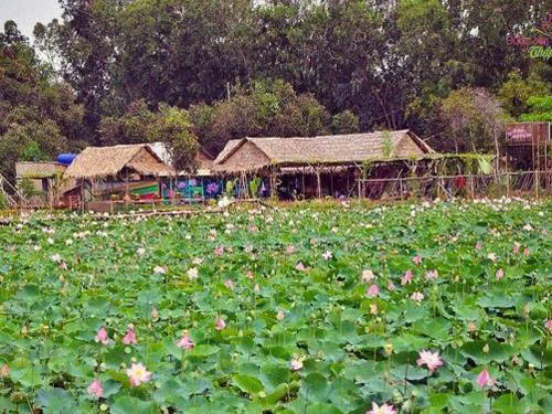 Long An tham dự Hội nghị Tổng kết hoạt động năm 2024 và triển khai phương hướng nhiệm vụ năm 2025 Hiệp hội Du lịch Đồng bằng Sông Cửu Long – Tại Thành phố Cần Thơ