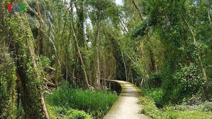 Núi Bà Đen Tây Ninh tổ chức chợ lá vào các ngày thứ 7 trong tháng 6