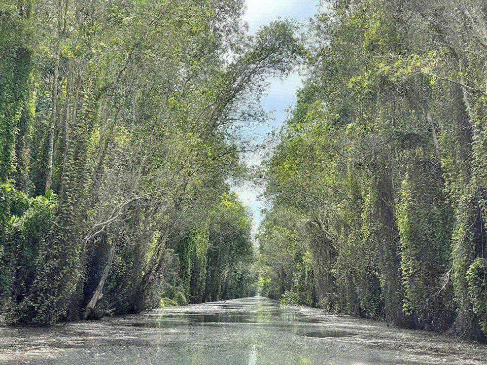 TRUNG TÂM THÔNG TIN XÚC TIẾN DU LỊCH NINH TÂY NINH THAM GIA QUẢNG BÁ XÚC TIẾN DU LỊCH TẠI CÁC SỰ KIỆN DU LỊCH THƯỜNG NIÊN CÓ UY TÍN