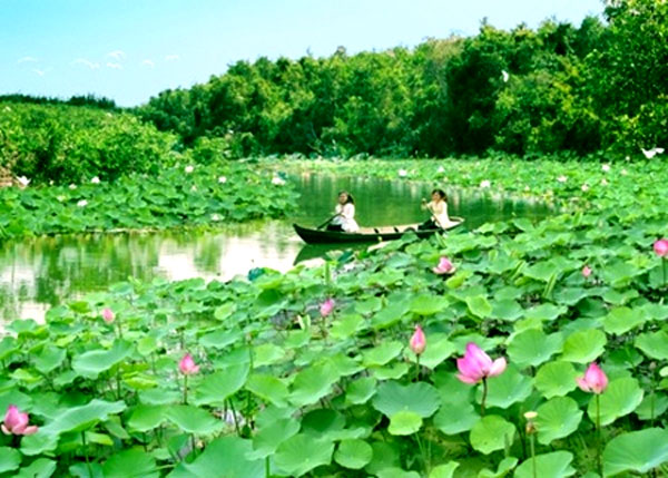 Khu bảo tồn đất ngập nước Láng Sen
